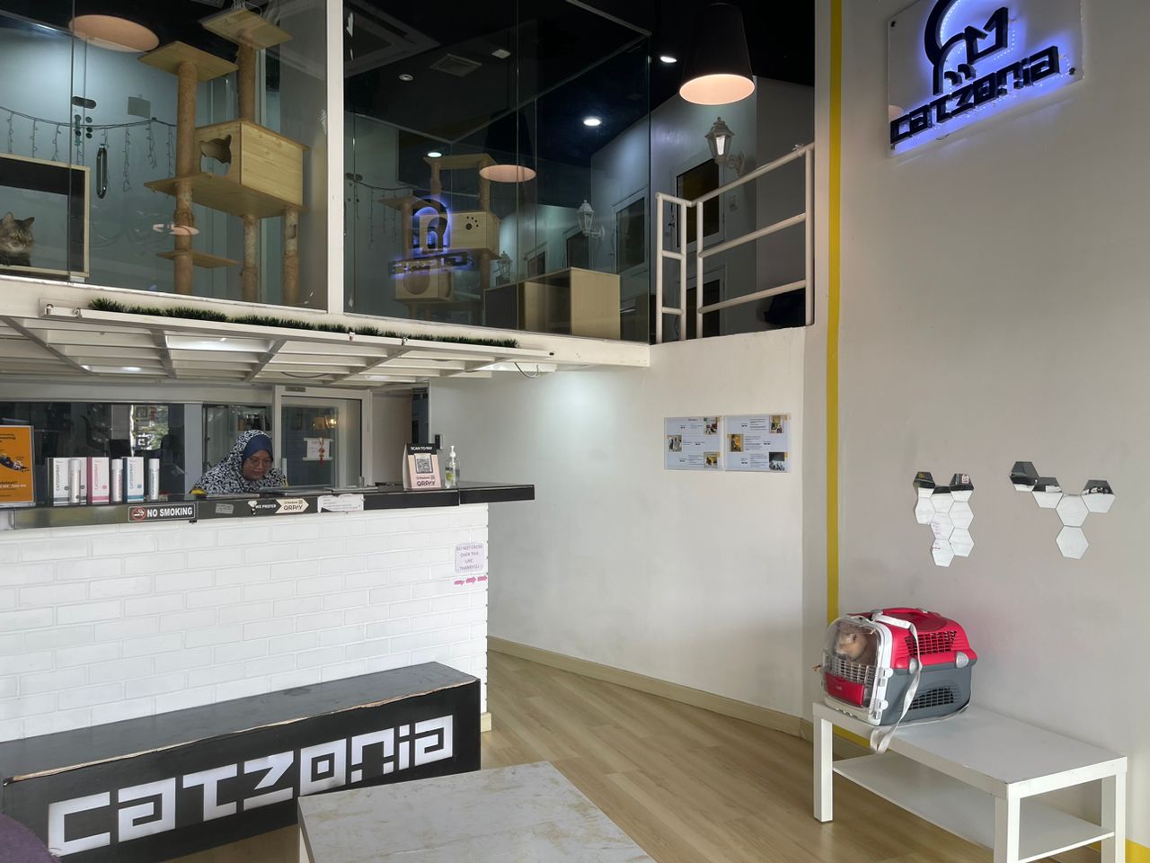 CuteCats Shah Alam - Premium Retail, Hotel & Grooming 8