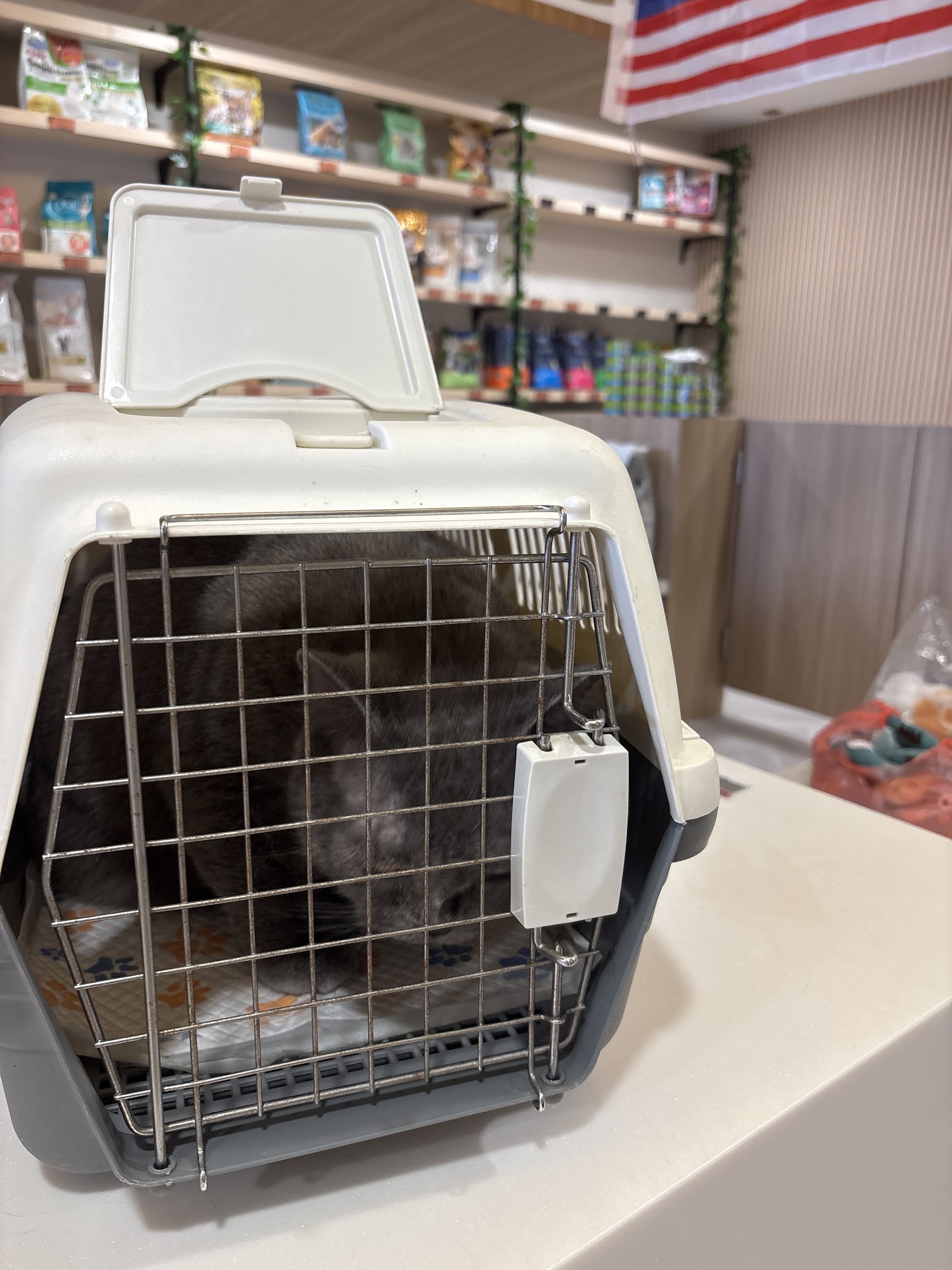 CuteCats Shah Alam - Premium Retail, Hotel & Grooming 9